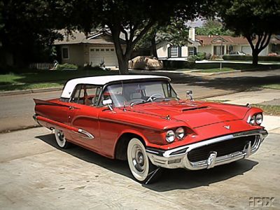 1955 ford tbird