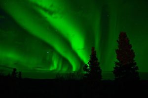 Photo of the northern lights. Something special to see when you're not making dinner.