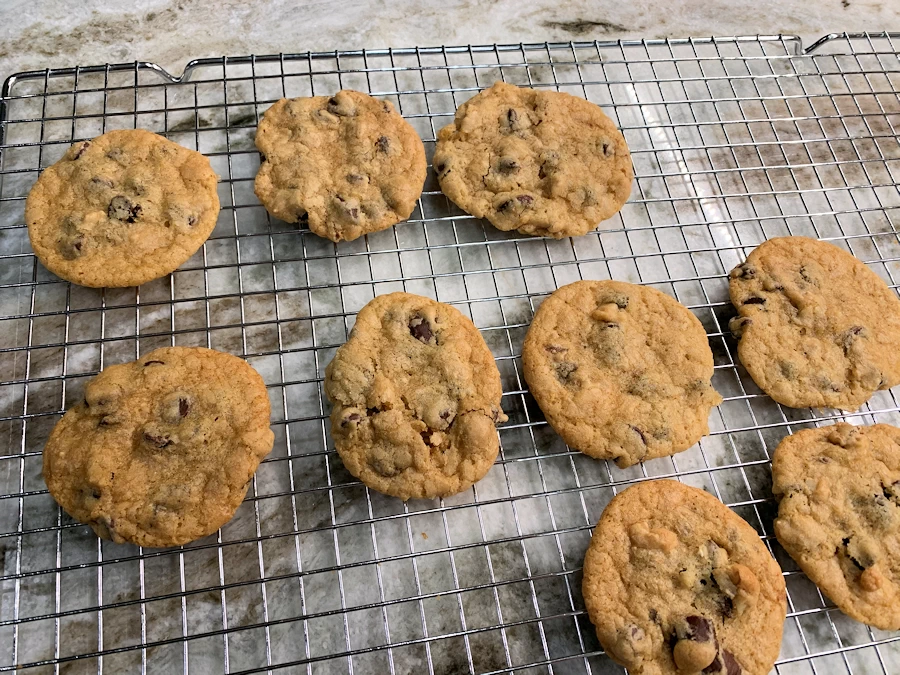 Retired boomers love chocolate chip cookies for dessert